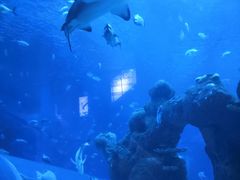 -成都浩海立方海洋公园