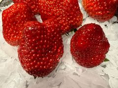 -竹之月日本料理铁板烧(香江花园店)