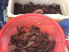 -江杨农产品批发市场