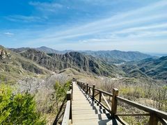 -大岭沟猕猴桃谷风景区