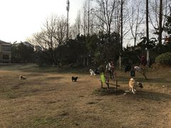 -环城公园-琥珀潭