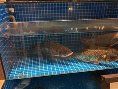 -涿派·炝锅鱼(涿州店)