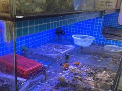 -江南村海鲜馆(洞头店)
