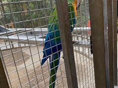 -南宫五洲植物乐园