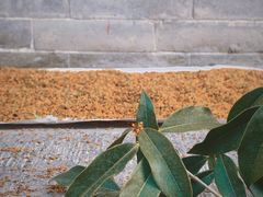 -长香源葫芦头梆梆肉(兴隆巷店)