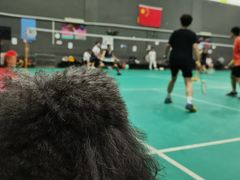 -芭比堂动物医院广州顽皮分院