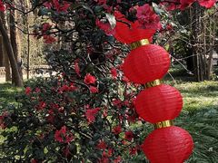 -成都杜甫草堂博物馆