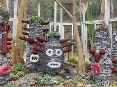 -深圳仙湖植物园