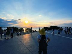 -宝安西湾红树林湿地公园