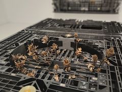 -胶囊画廊