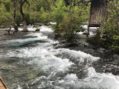 -九寨沟-树正沟