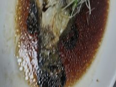 -骏莱海鲜鱼港(五角场店)