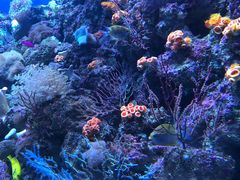 -成都浩海立方海洋公园