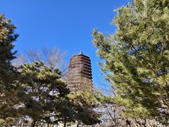 -玲珑塔公园
