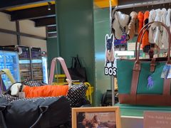 -帕帕拉兹宠物(亚洲旗舰店)