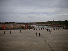 -金塔沙漠胡杨林景区