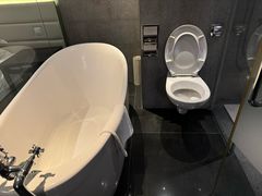 -新加坡富丽华河畔大酒店(SG Clean)