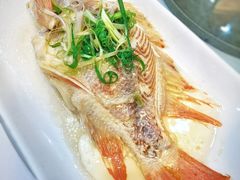 清蒸凤尾鱼-勝記酒家·37年老字号·经典粤菜(荔枝公园店)