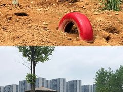 -杭州野生动物世界