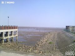-碧海金沙