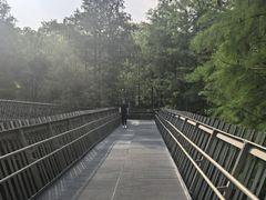 -福道