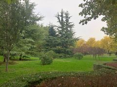-山东理工大学