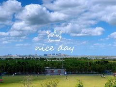 -春花秋色城市公园