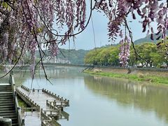 -溪口-滕头旅游景区