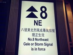 -Lady M(沙田新城市广场店)