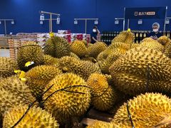 -盒马X会员店(王府井奥莱UP TOWN店)