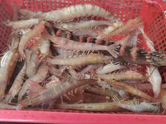 -外伶仃岛海鲜市场