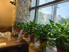 -柿子树炭烤羊腿(金台路店)