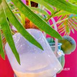找到全福州最大袋泰式奶茶，好喝哭咯[流泪]