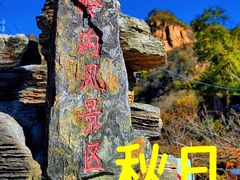 -大岭沟猕猴桃谷风景区