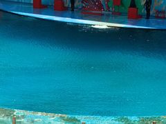 -北戴河圣蓝海洋公园