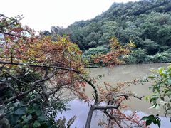 -黔灵山公园