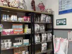 -伟伟宠物医院·瑞派猫友好医院·猫科(光谷店)