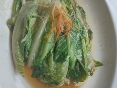 白灼罗马生菜-宝轩渔府·老字号海鲜·正宗津菜(水上店)