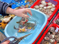 -船奇蒸汽海鲜·闽菜(八市海鲜总店)