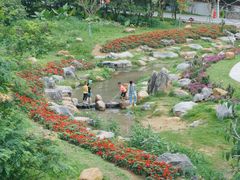 -黄埔油麻山森林公园
