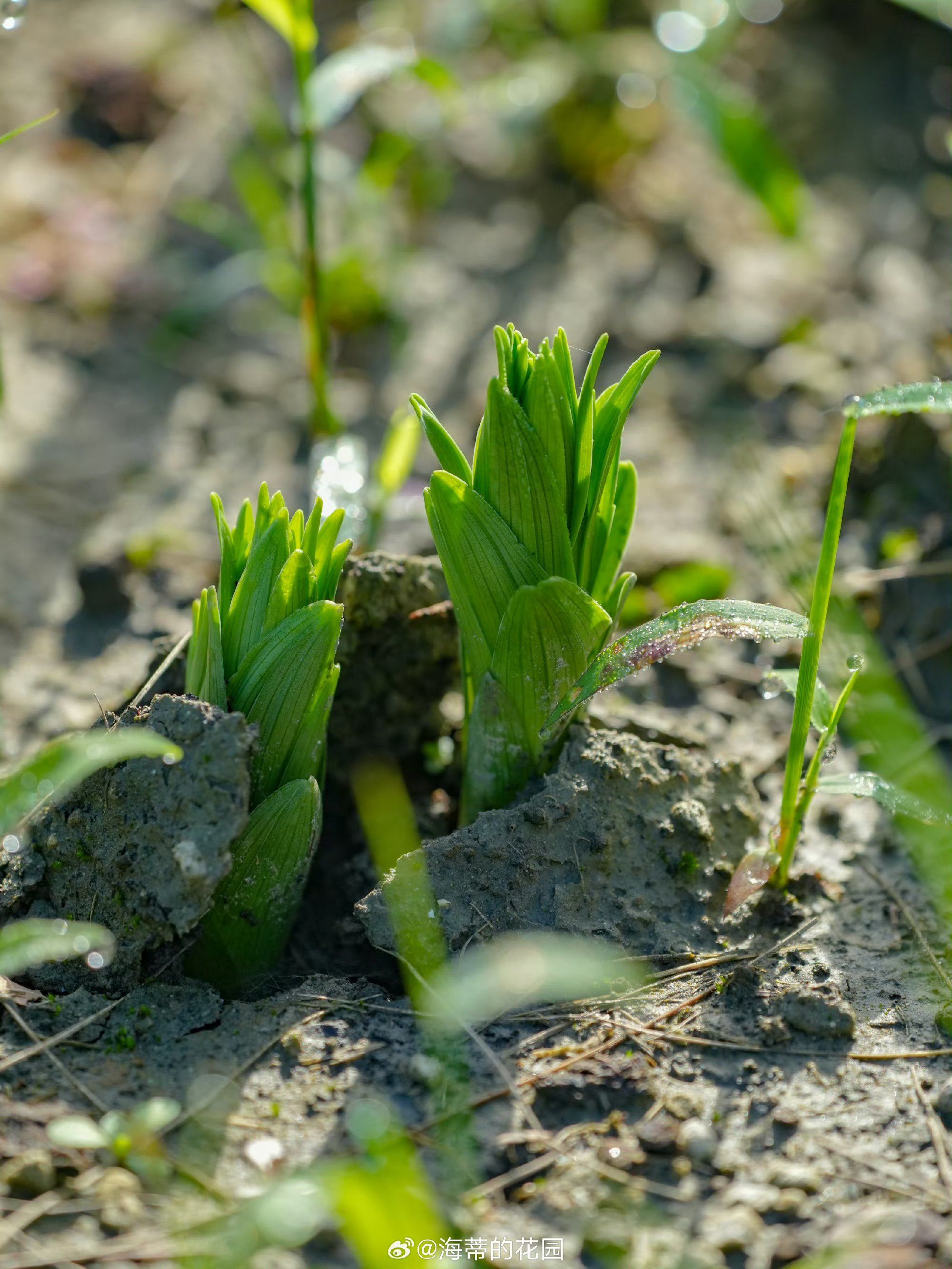美好正在萌芽,秋天也值得期待