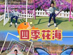 -盈香心动乐园
