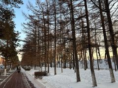 -长春市南湖公园