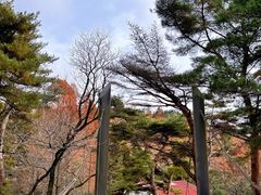 -神户市立六甲山牧场