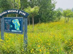 -溱湖国家湿地公园