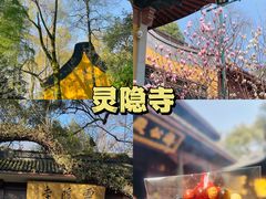 -西湖文化广场