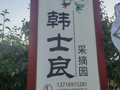 -韩士良采摘园