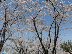 -龙美术馆(西岸馆)