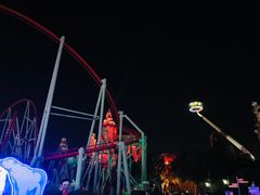 -金蝉食府(维吉奥广场店)