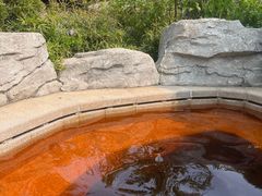 -大连金石滩绿发温泉假日酒店